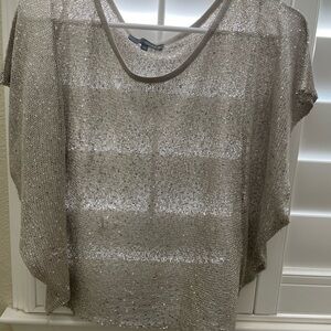 Elegant Silver Sheer Women's Top